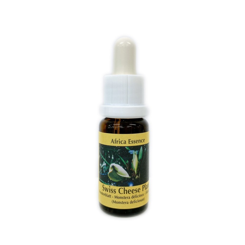 スイスチーズプラント《コルテPHIエッセンス》15ml