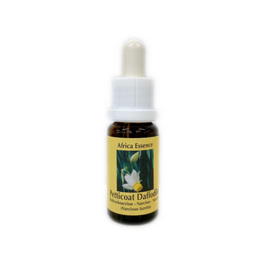ケープリードワート《コルテPHIエッセンス》15ml｜フラワーレメディ