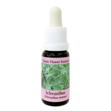 RQ7 エッセンス《コルテPHIエッセンス》15ml｜フラワーレメディ【公式】